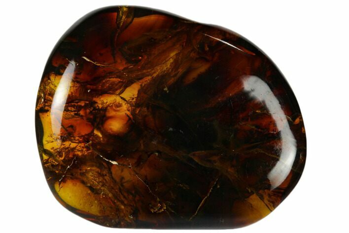 Polished Chiapas Amber ( g) - Mexico #114974